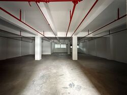 B Central (D12), Factory #492254101